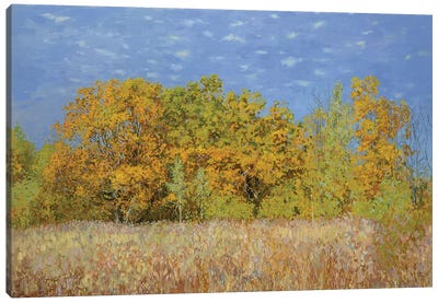Golden Autumn Canvas Art Print - Simon Kozhin