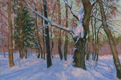 Winter Day 2007 by Simon Kozhin art print