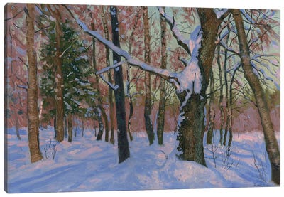 Winter Day 2007 Canvas Art Print - Simon Kozhin
