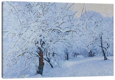 Snowy Garden Kuzminki Canvas Art Print - Simon Kozhin