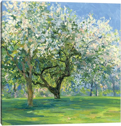 May Canvas Art Print - Artists Like Monet