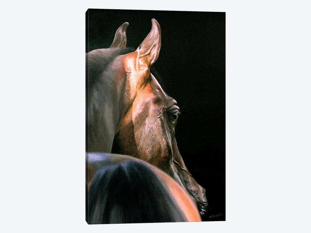 Arabian Beauty by Sally Lancaster 1-piece Canvas Artwork