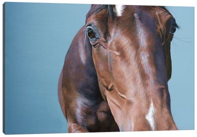 What You Looking At Canvas Art Print - Sally Lancaster
