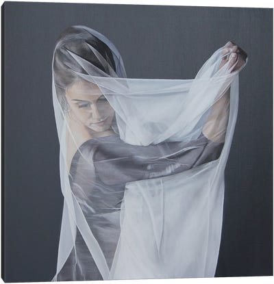 Veiled Within Canvas Art Print - Sally Lancaster