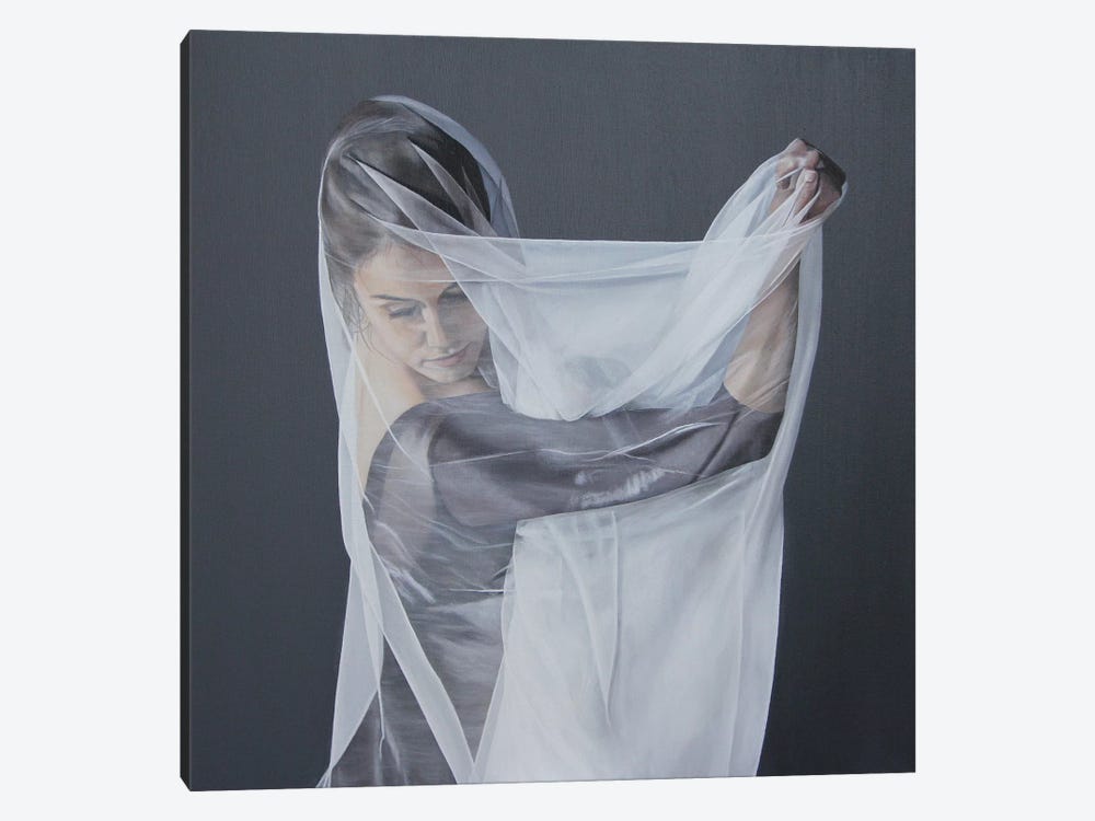 Veiled Within by Sally Lancaster 1-piece Canvas Artwork