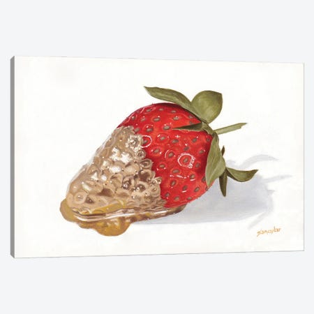 Strawberries Of Gold II Canvas Print #SLA50} by Sally Lancaster Art Print