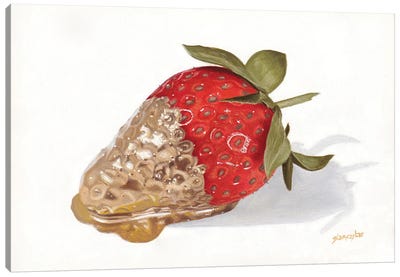 Strawberries Of Gold II Canvas Art Print - Sally Lancaster