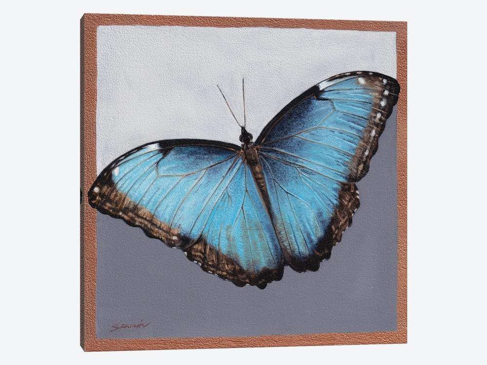 Blue Morpho by Sally Lancaster 1-piece Canvas Art Print