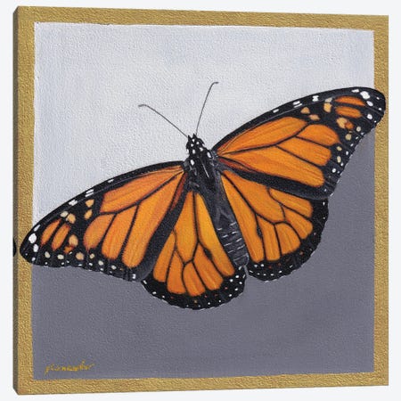 Monarch Canvas Print #SLA59} by Sally Lancaster Canvas Print