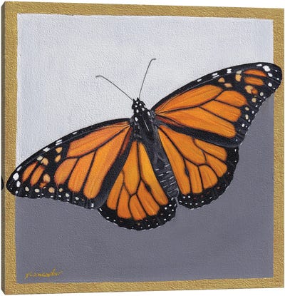 Monarch Canvas Art Print - Sally Lancaster