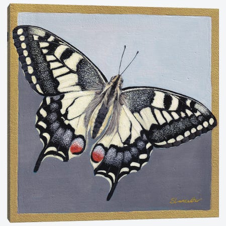 Yellow Swallowtail Canvas Print #SLA60} by Sally Lancaster Canvas Art