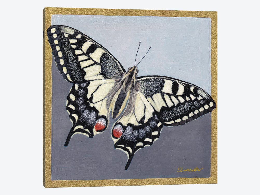 Yellow Swallowtail by Sally Lancaster 1-piece Canvas Art