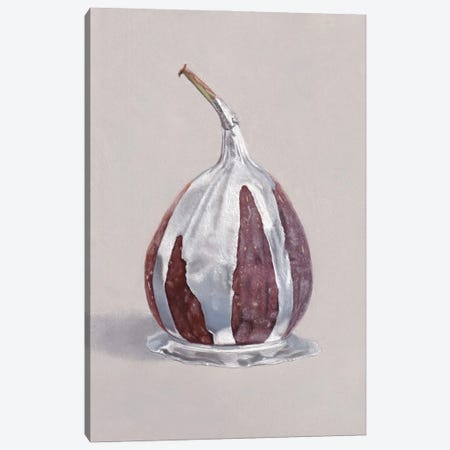 Fig with Silver Canvas Print #SLA67} by Sally Lancaster Canvas Print