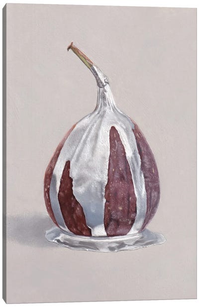 Fig with Silver Canvas Art Print