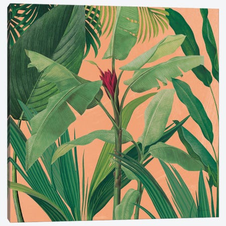 Dramatic Tropical I Boho Canvas Print #SLB120} by Sue Schlabach Art Print
