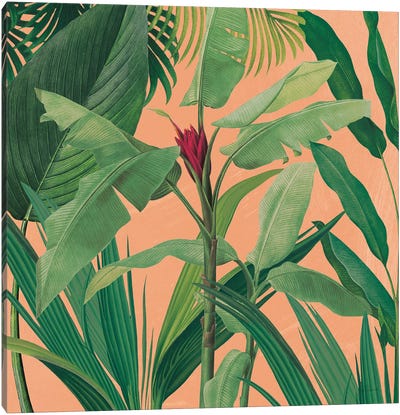 Dramatic Tropical I Boho Canvas Art Print - Sue Schlabach
