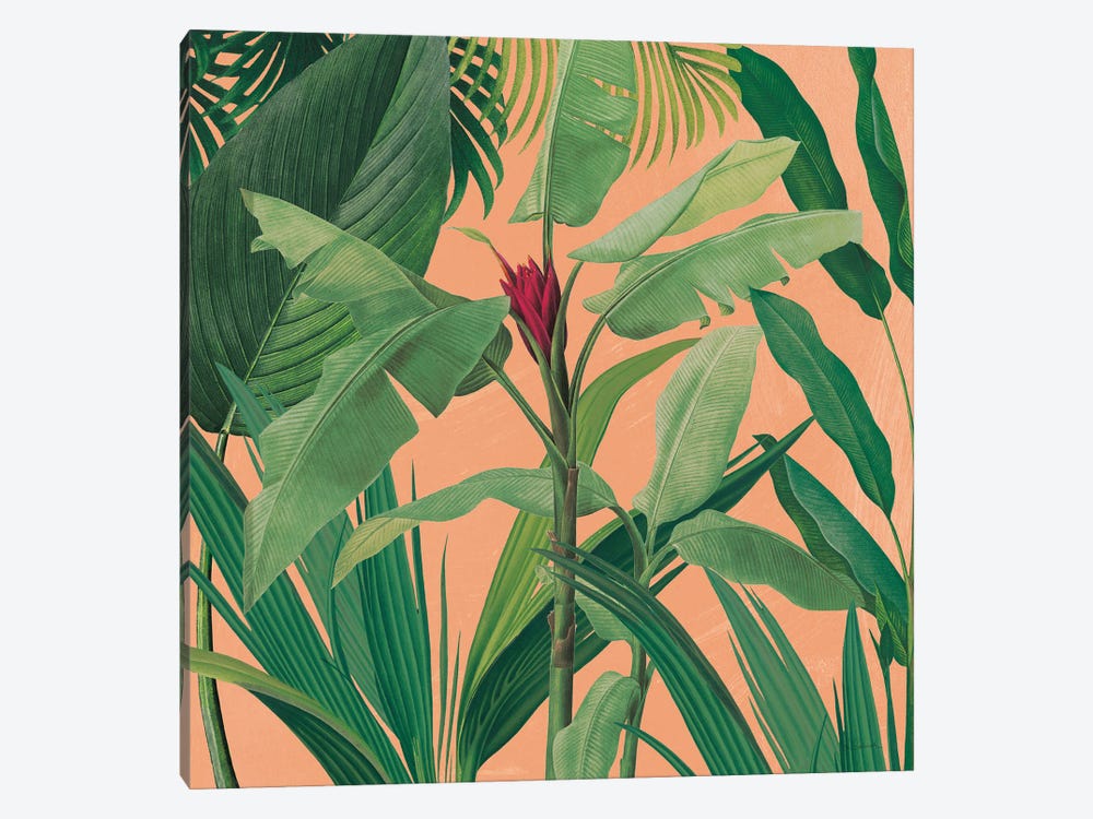 Dramatic Tropical I Boho by Sue Schlabach 1-piece Canvas Artwork