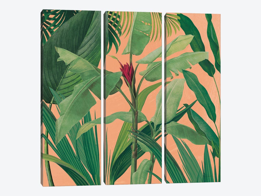 Dramatic Tropical I Boho by Sue Schlabach 3-piece Canvas Wall Art