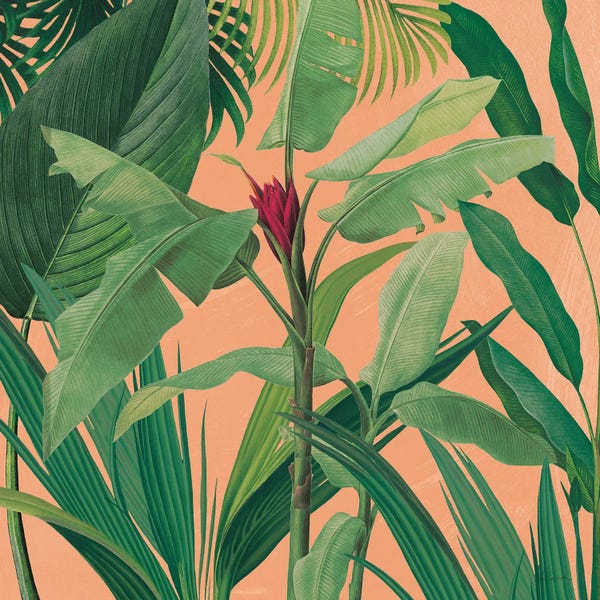 Sue Schlabach: Dramatic Tropical I Boho by Sue Schlabach