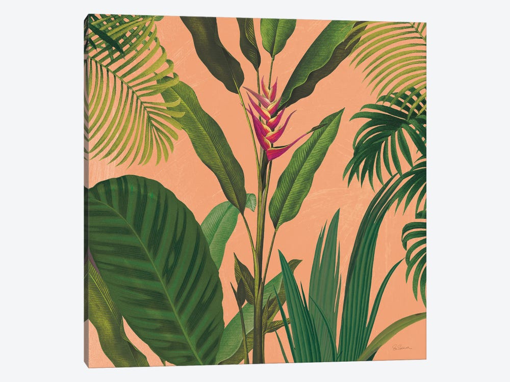 Dramatic Tropical II Boho by Sue Schlabach 1-piece Canvas Art Print