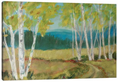 Birch Road Canvas Art Print