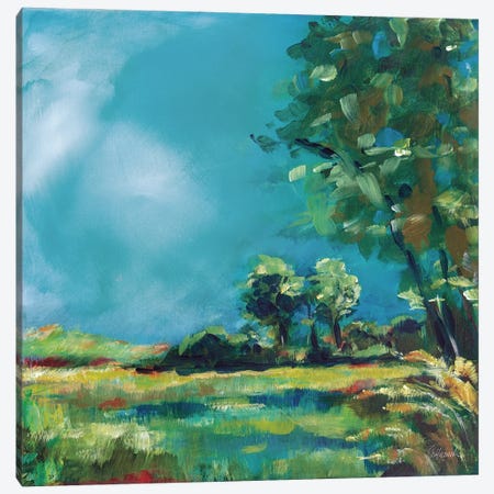 July Meadow Canvas Print #SLB132} by Sue Schlabach Canvas Wall Art