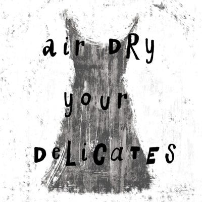 Laundry Rules VI In Black & White by Sue Schlabach framed wall art