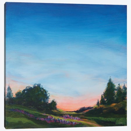 Lupine Evening Canvas Print #SLB143} by Sue Schlabach Canvas Print