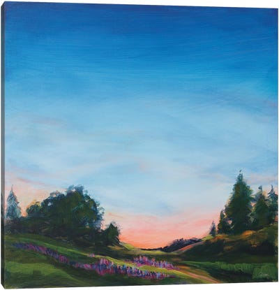 Lupine Evening Canvas Art Print - Blue Art