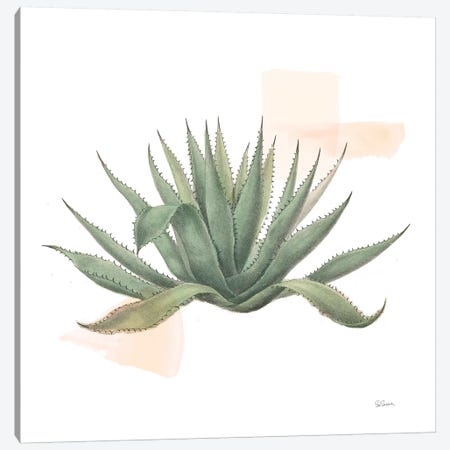 Desert Color Succulent I Canvas Print #SLB36} by Sue Schlabach Canvas Art Print