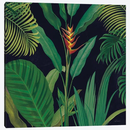 Dramatic Tropical II Canvas Print #SLB43} by Sue Schlabach Canvas Print