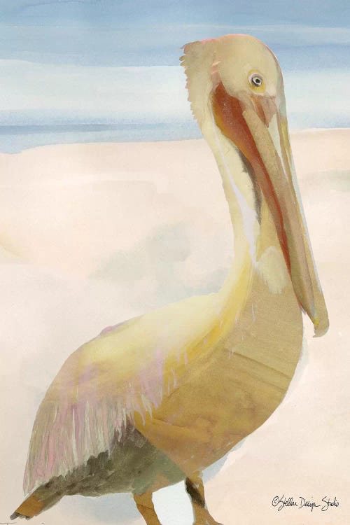 Pelican I