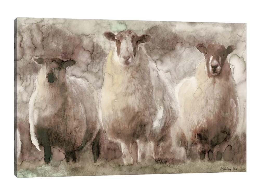 Three Sheep Studio