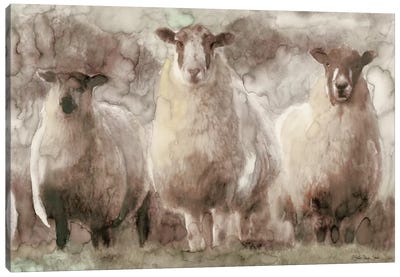 Three Sheep Canvas Art Print - Animal Art