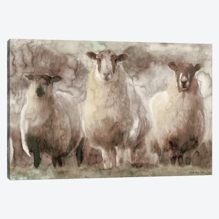 Three Sheep Canvas Print #SLD112} by Stellar Design Studio Canvas Wall Art