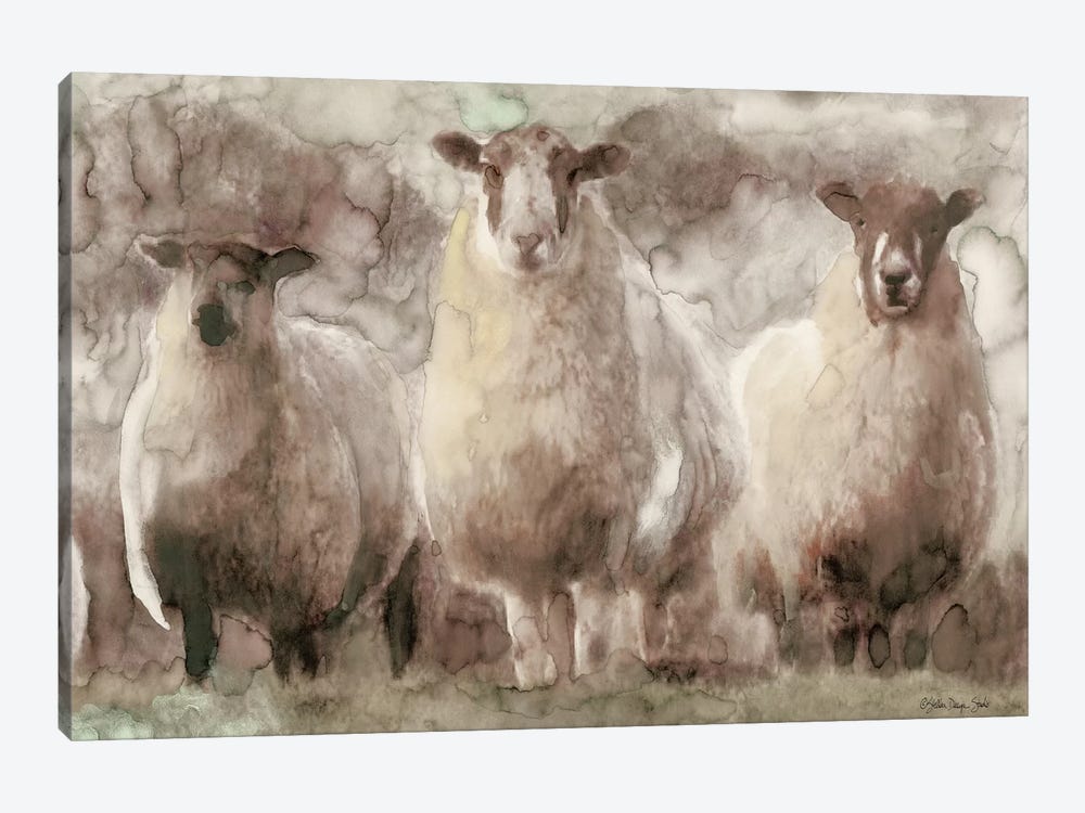 Three Sheep by Stellar Design Studio 1-piece Canvas Art Print