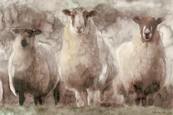 Sheep: Three Sheep by Stellar Design Studio