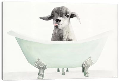 Vintage Tub with Goat Canvas Art Print - Goat Art
