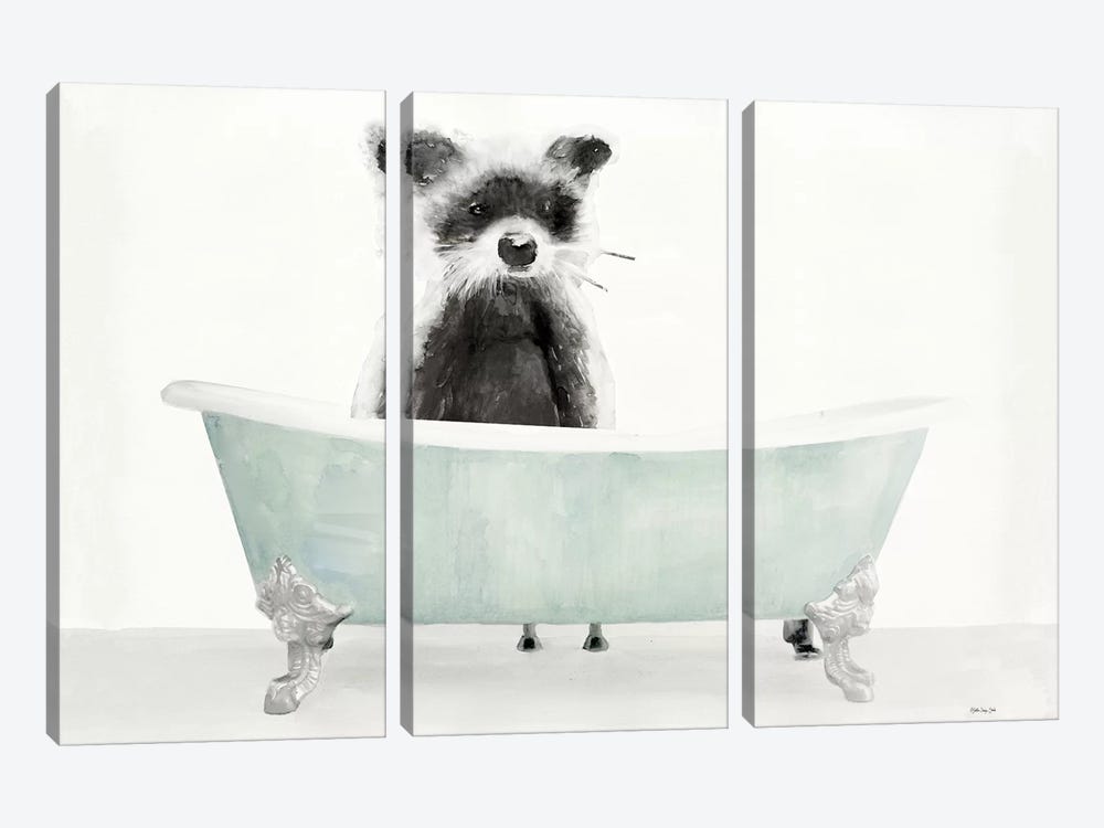 Vintage Tub with Racoon 3-piece Canvas Artwork