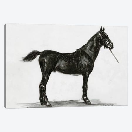 Horse Study III Canvas Print #SLD131} by Stellar Design Studio Canvas Art
