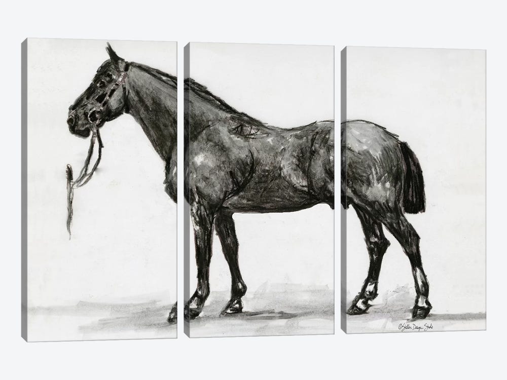 Horse Study IV 3-piece Canvas Print