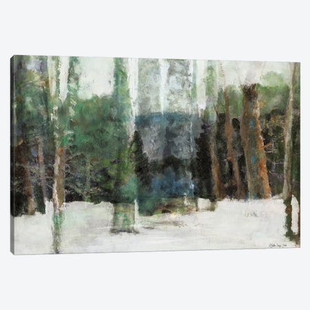 Winter Forest Canvas Print #SLD148} by Stellar Design Studio Canvas Print