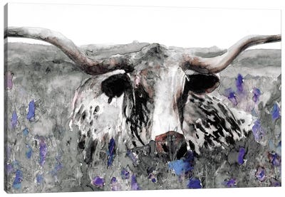 Longhorn in Flower Field Canvas Art Print - Cow Art