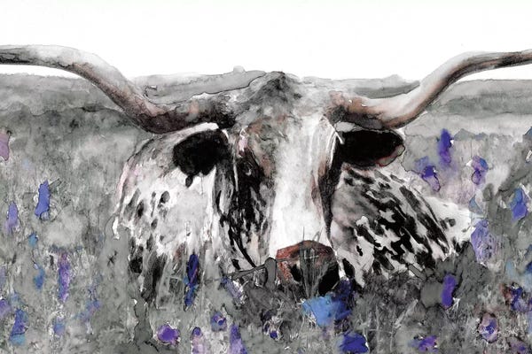 Longhorns: Longhorn in Flower Field by Stellar Design Studio