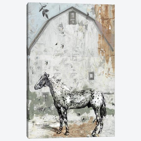 Barn with Horse Canvas Print #SLD157} by Stellar Design Studio Canvas Art Print
