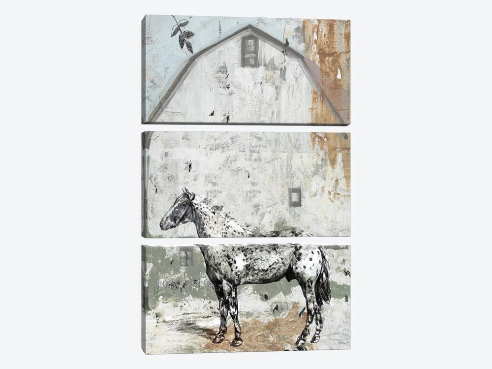 Barn with Horse by Stellar Design Studio 3-piece Canvas Wall Art