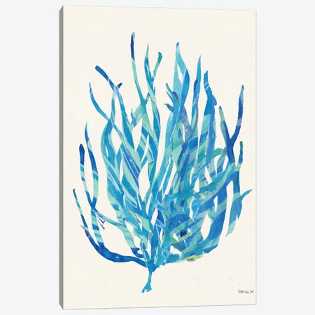 Coral Medley I Canvas Print #SLD162} by Stellar Design Studio Canvas Art Print