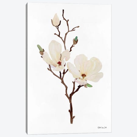 Magnolia Canvas Print #SLD177} by Stellar Design Studio Canvas Print