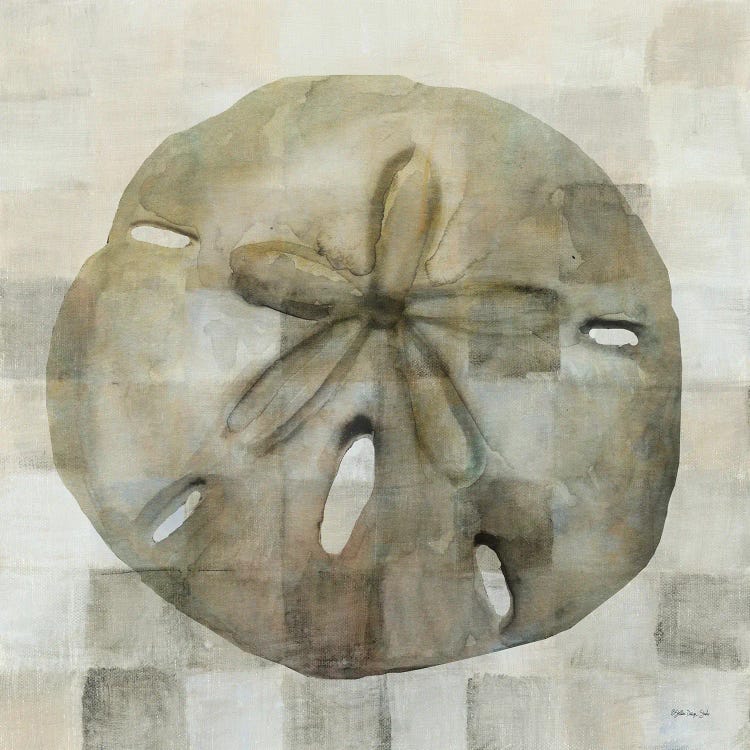 Sand Dollar by Stellar Design Studio wall art