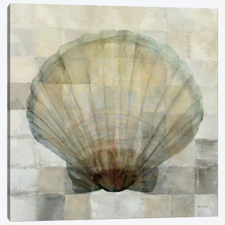 Scallop Shell Canvas Print #SLD192} by Stellar Design Studio Canvas Art